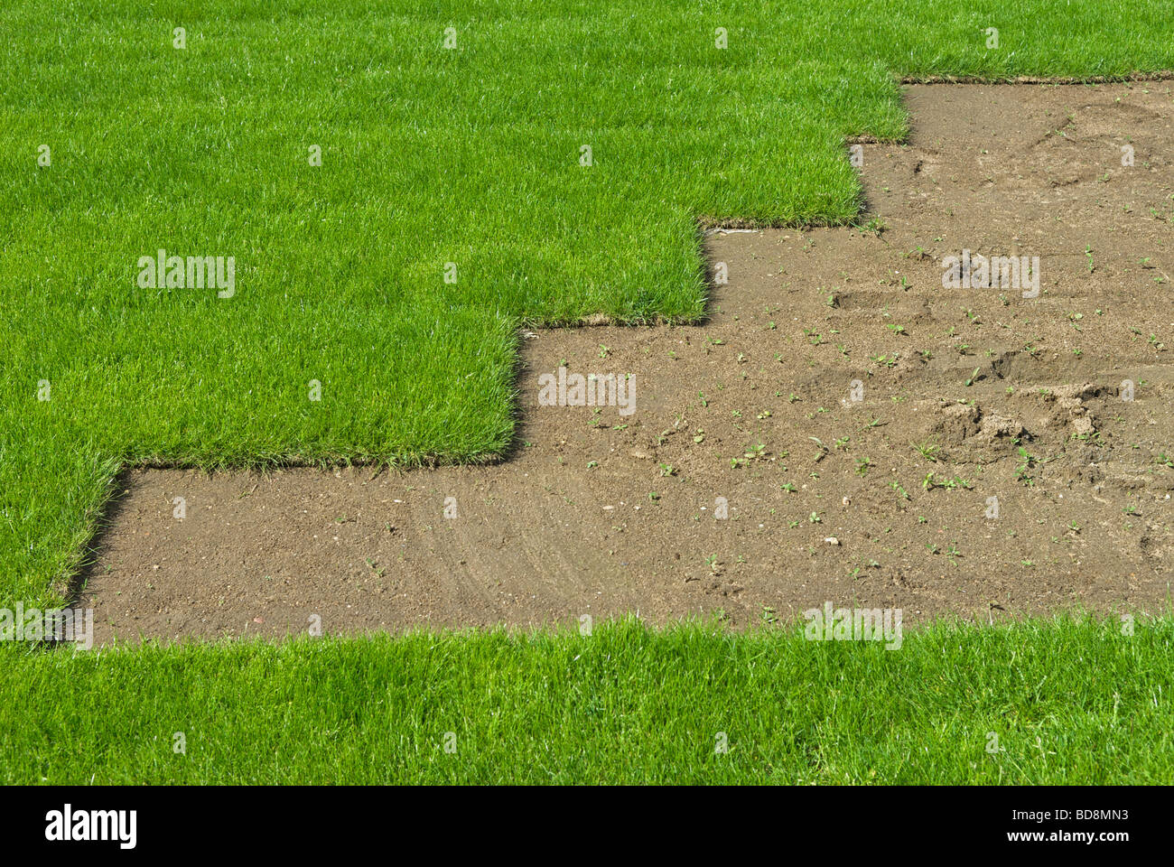 Turf laid on a new Fairview homes housing estate, Ipswich, Suffolk, UK Stock Photo Alamy