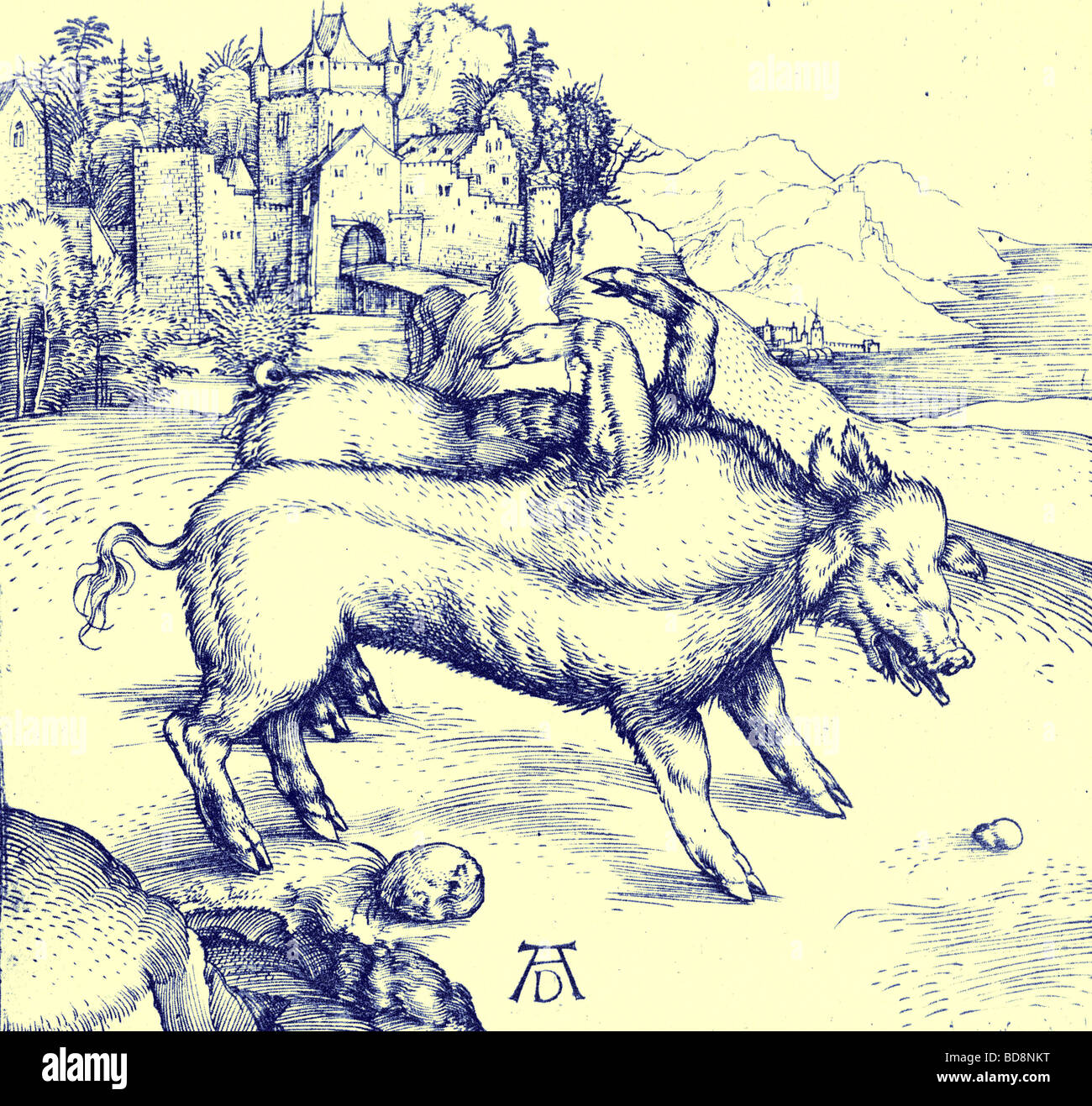 Monstrous pig From reproduction in Albrecht Durer Kupferstiche Holbein ...