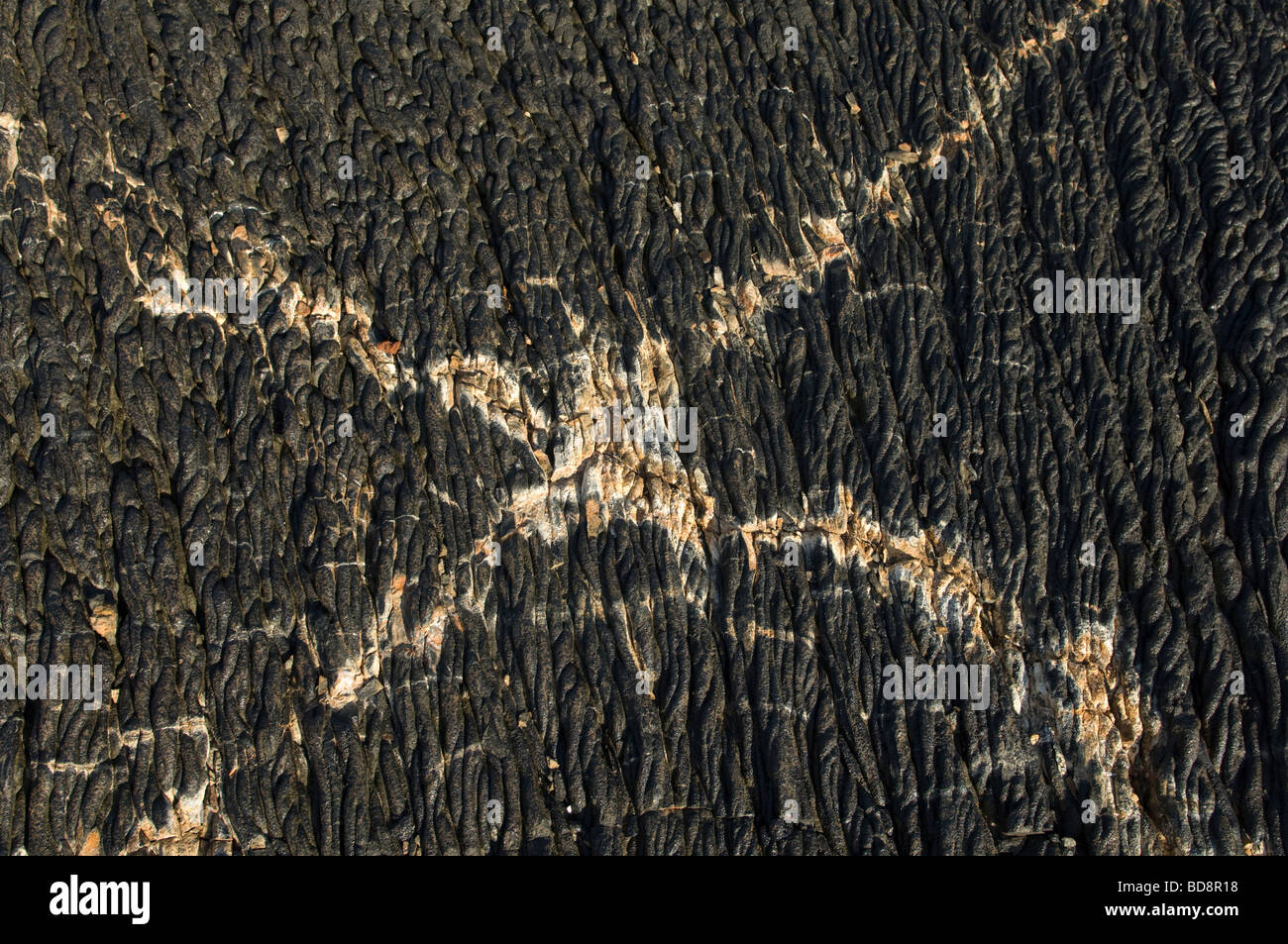 Hot Pahoehoe Lava Creates Ribbon-Like Shapes as it cools Sullivan Bay Santiago Island Galapagos Ecuador Pacific Ocean Stock Photo