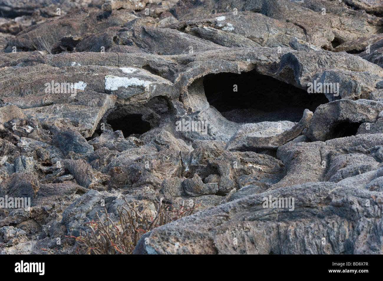 Lava tube Sombrero Chino island Santiago Galapagos Ecuador Pacific