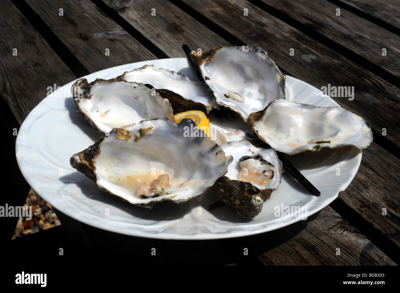 Empty oyster shells on a plate at a seafood restaurant Stock Photo Alamy