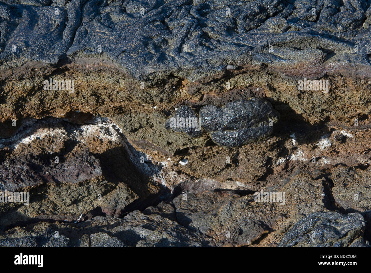 Fissured pahoehoe lava, Sullivan Bay Santiago Island Galapagos Ecuador Pacific Ocean South America May Stock Photo