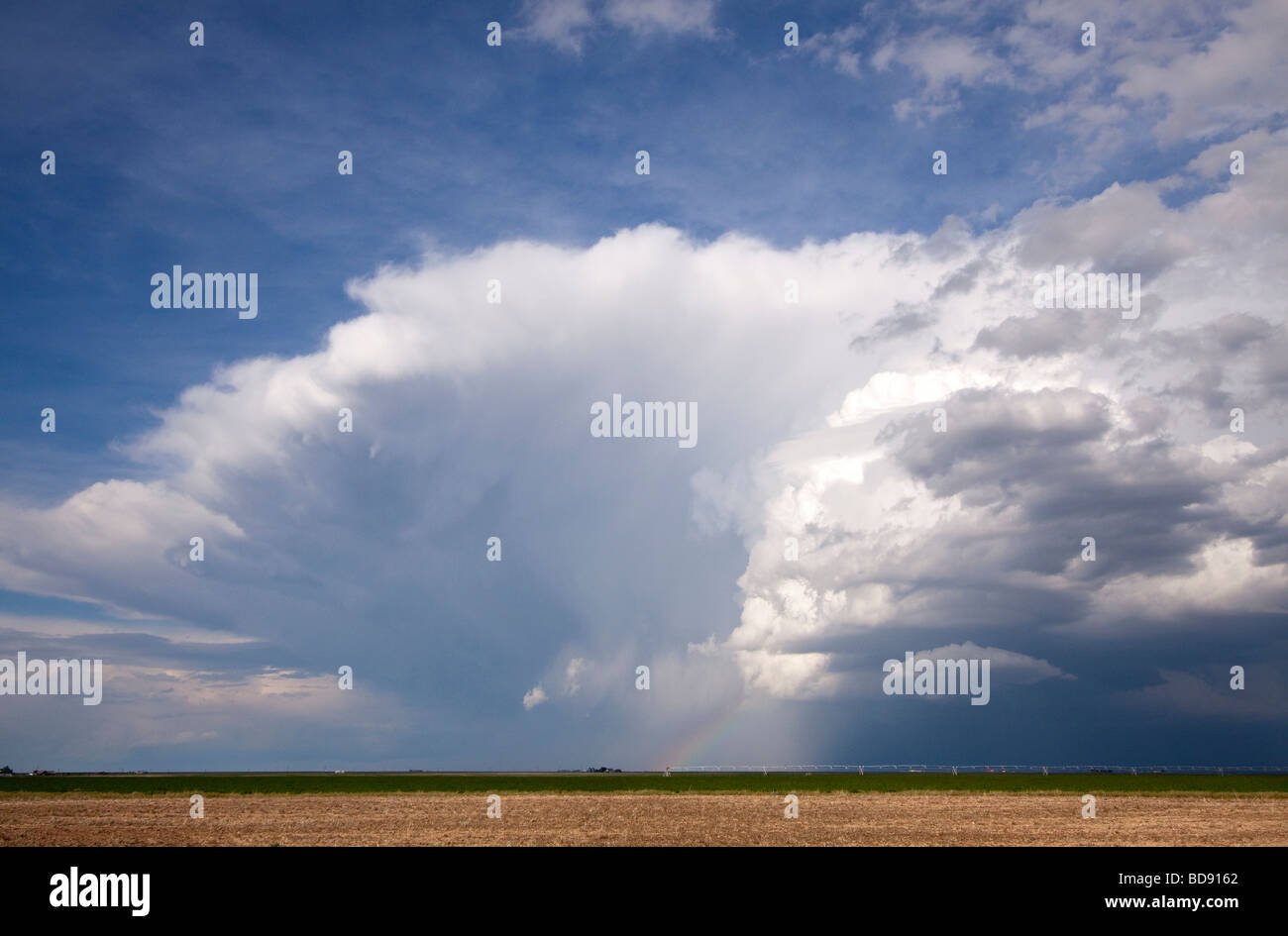 A thunderstorm in the distance in southern Kansas June 4 2009 Stock Photo