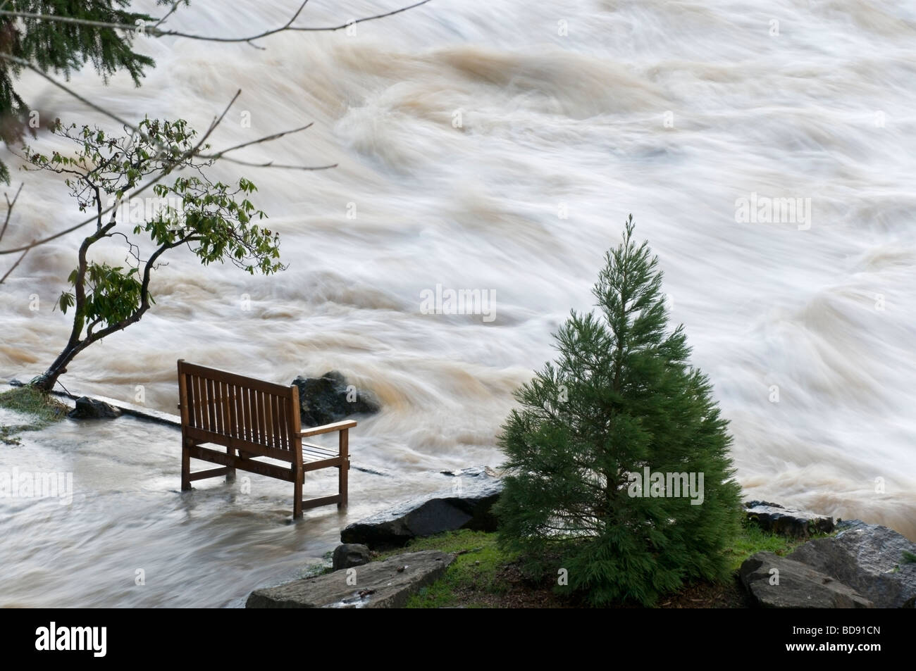 A bench sits at the edge of a raging river.  Heavy rain mixed with melting snow have caused flooding in Washington State Stock Photo