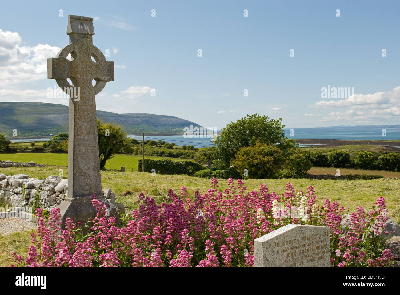 A Celtic cross in graveyard in The Burren, County Clare, Ireland with a view of Kinvara Bay. Stock Photo