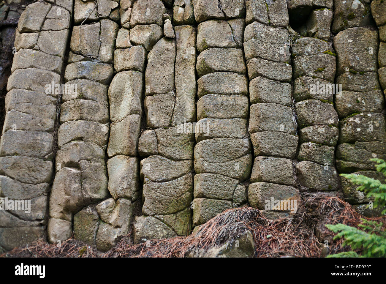 Columnar Jointing Rock Structure forming interesting geometric shapes