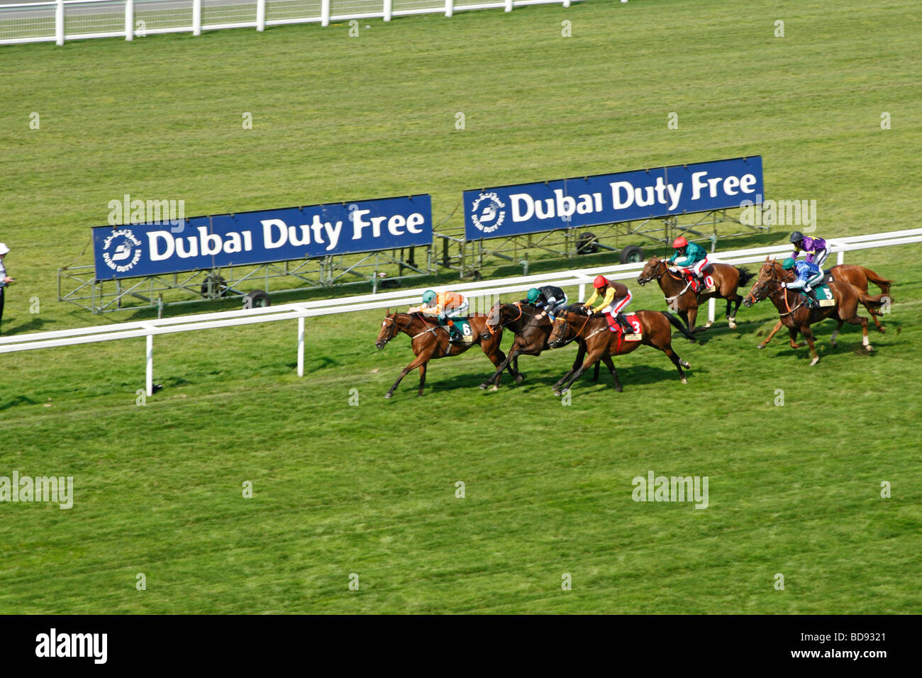 A horse race nears the finishing line at Ascot race course, near
