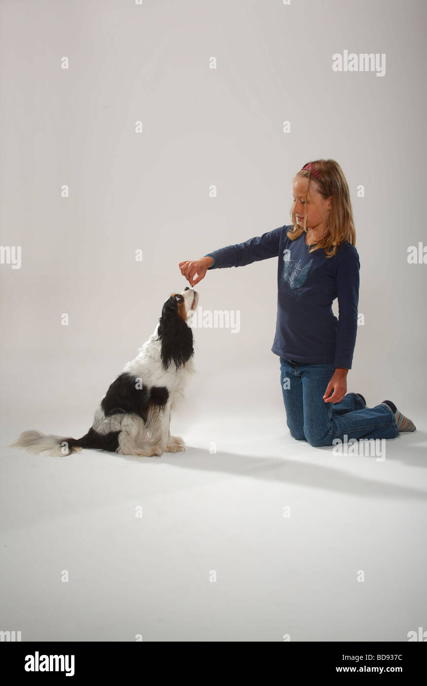king charles spaniel training