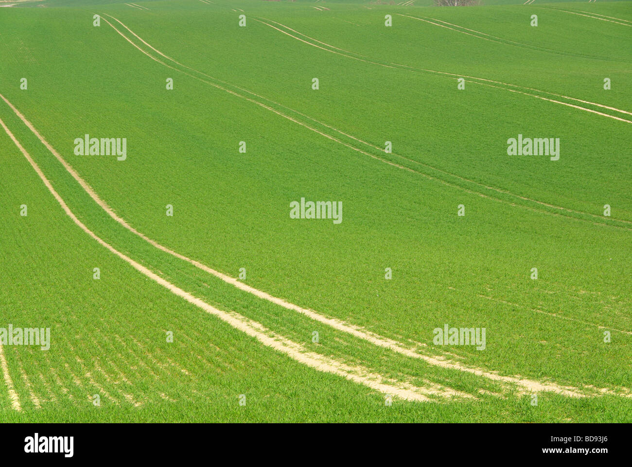 Feld field 41 Stock Photo - Alamy