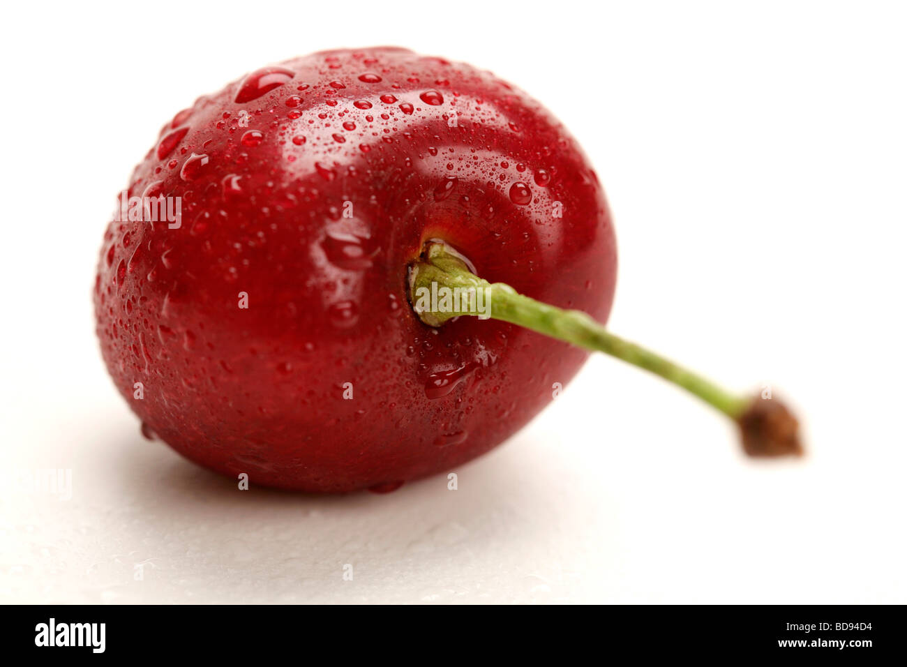 single fresh cherry with water drops Stock Photo