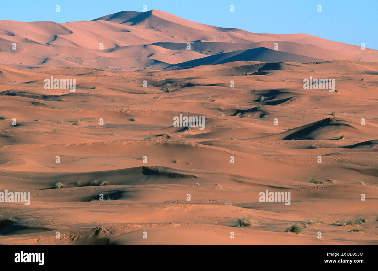 Sand dunes of Erg Chebbi, Western Sahara, Morocco Stock Photo
