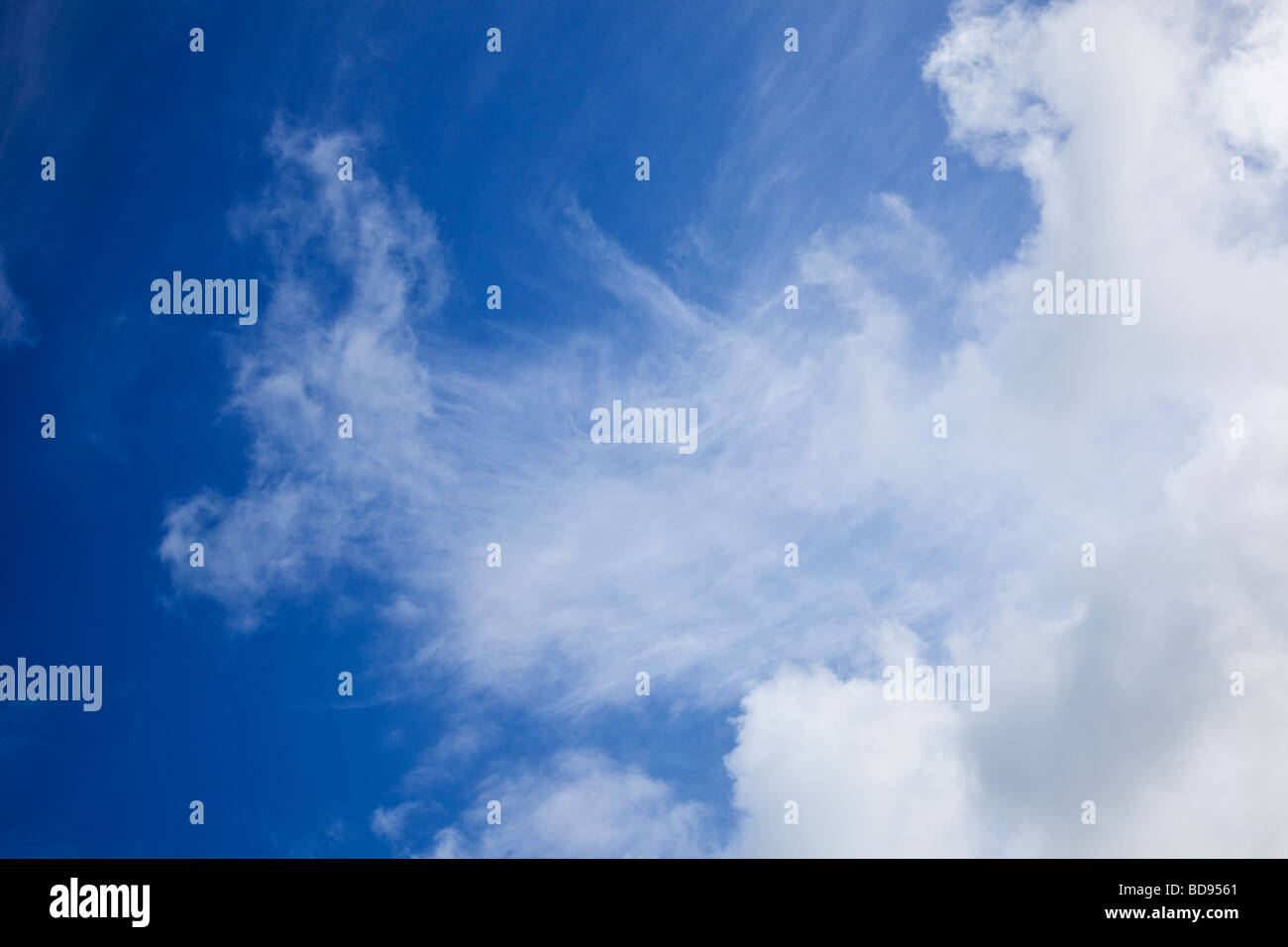 Blue sky with cirrus clouds looking up Stock Photo
