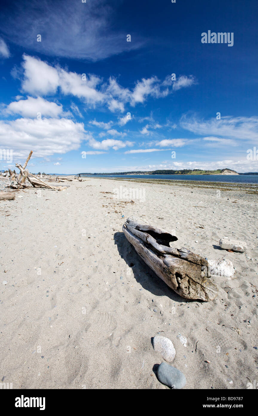 Island, view, beach, Saanich, BC Stock Photo