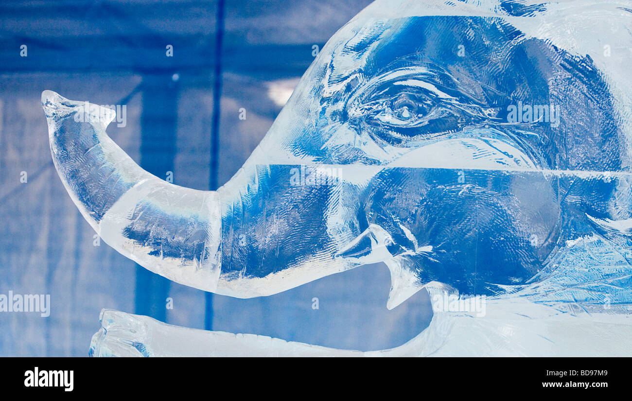 Elephant in Ice. An ice sculpture of an elephant's trunk. Winterlude, Confederation Park, Ottawa, Ontario, Canada Stock Photo