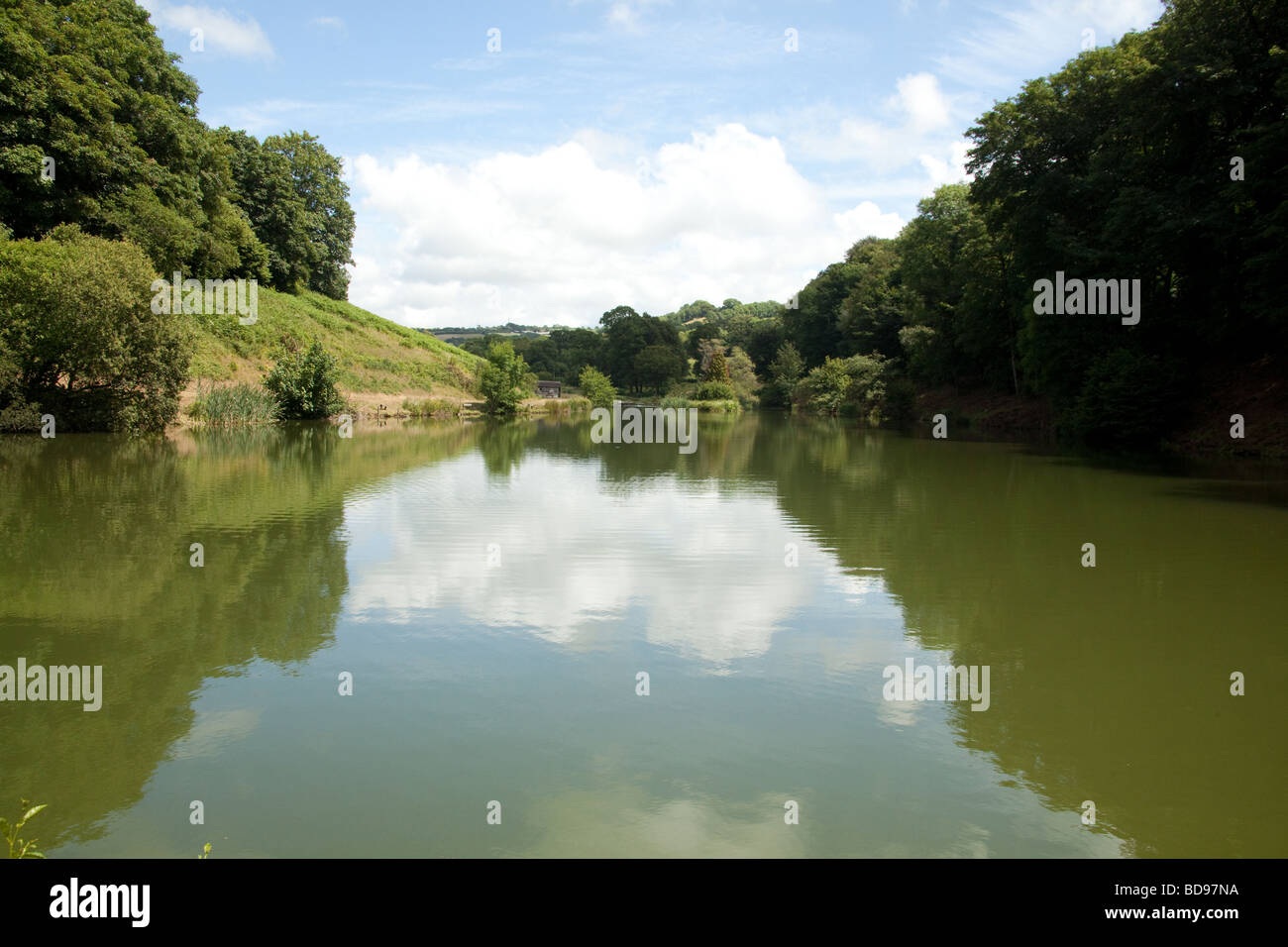 Newhouse farm trout Fishery Devon England Stock Photo Alamy