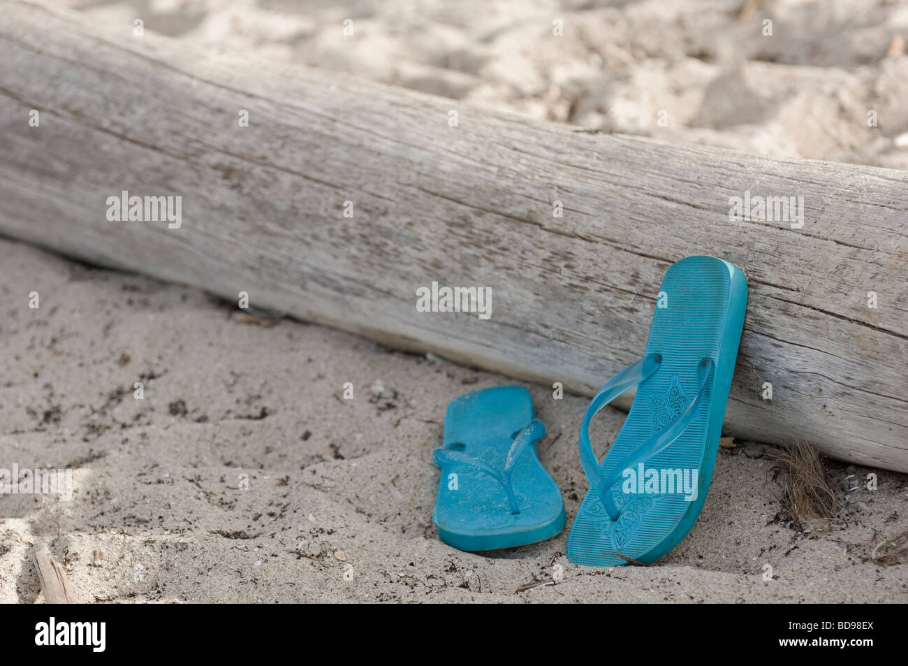 pair of blue sandals left behind on beach against driftwood log Stock Photo