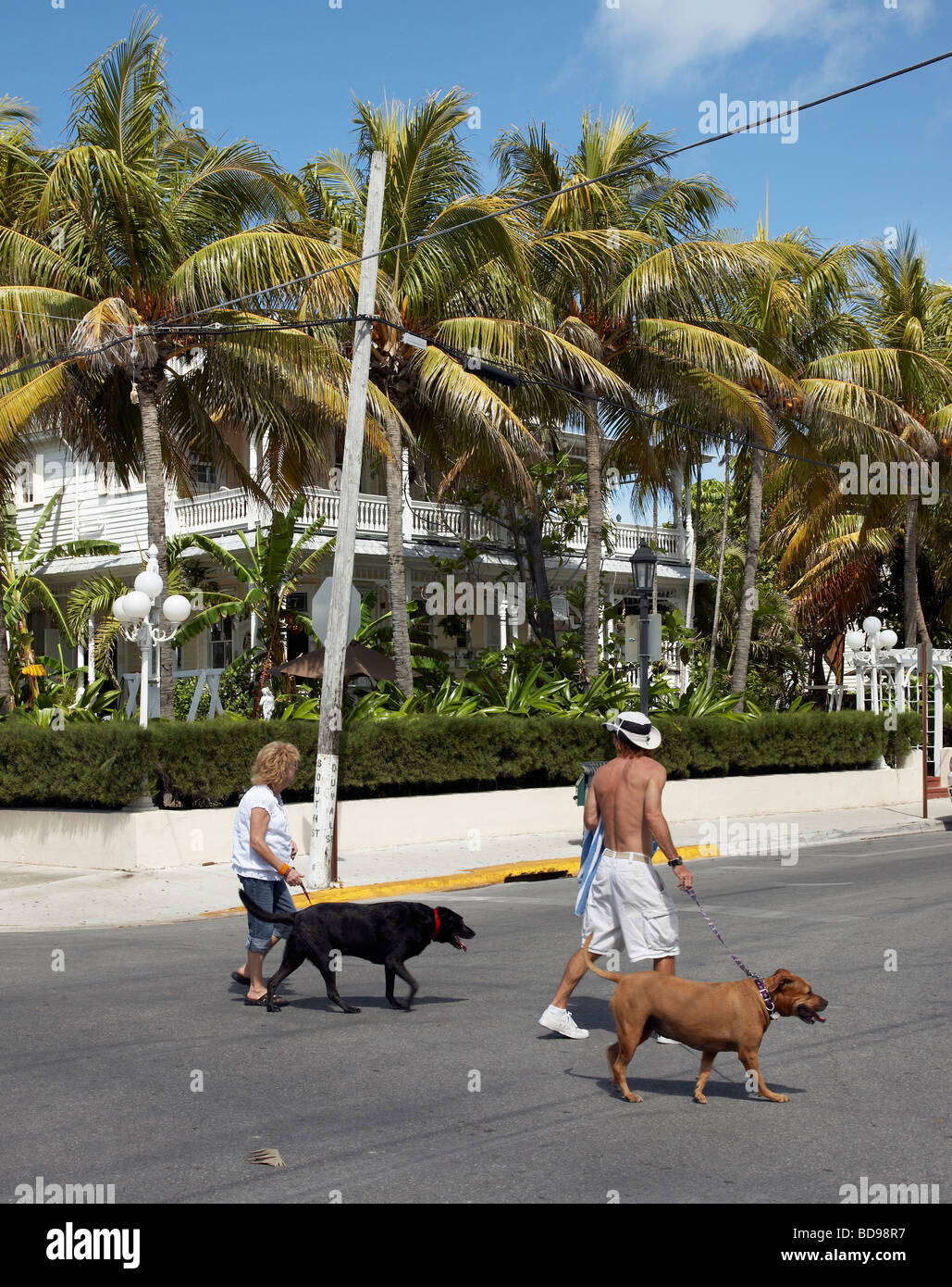 couple walking dogs in Florida Key West Stock Photo