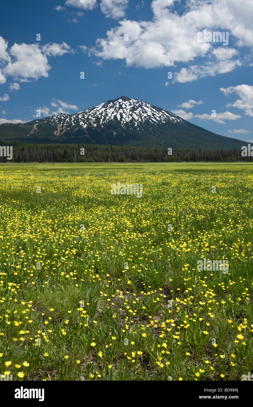 Mount Bachelor in the Cascade Mountains of central Oregon Stock Photo