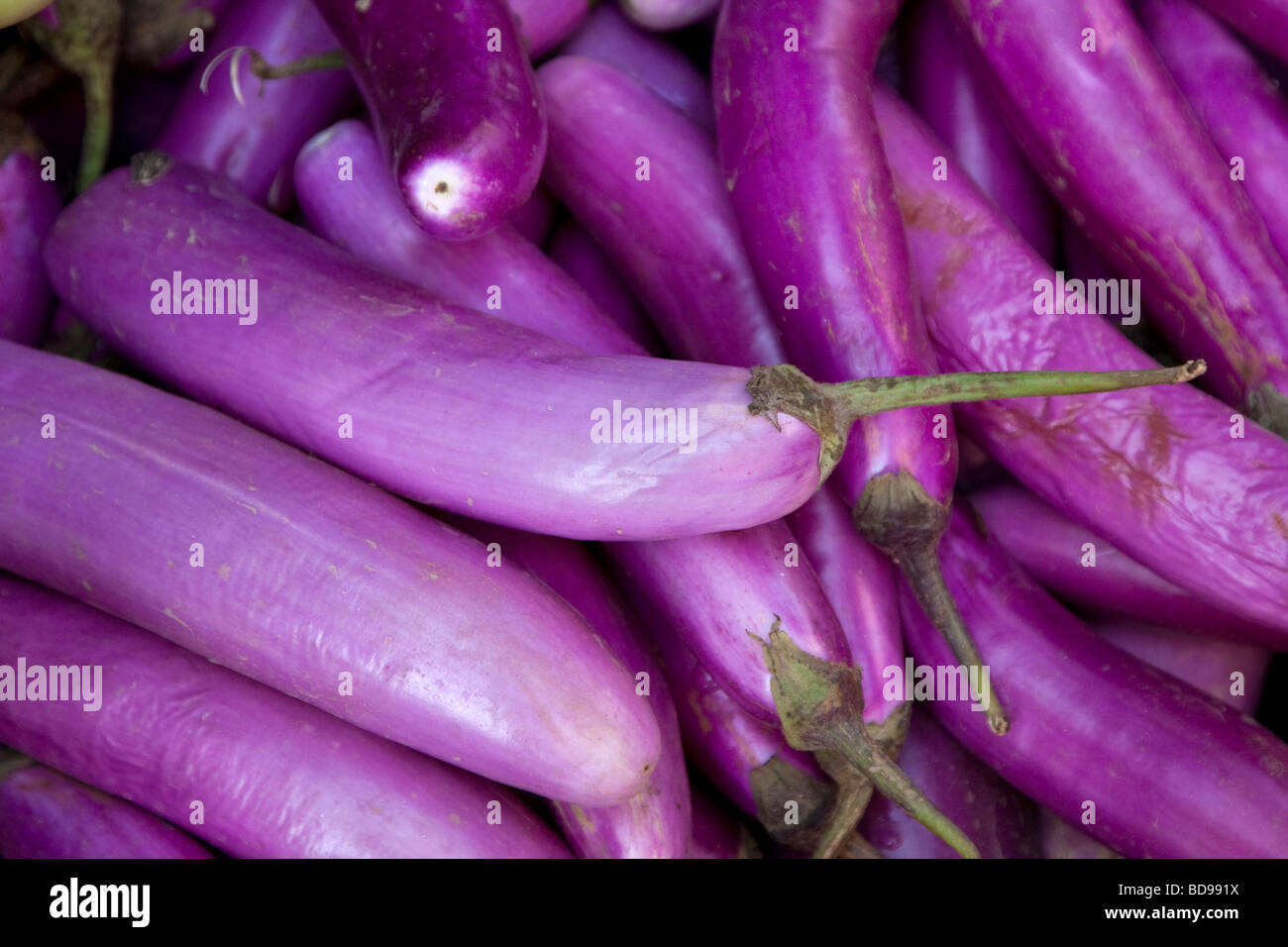 Bodhnath, Nepal. Eggplant Stock Photo Alamy
