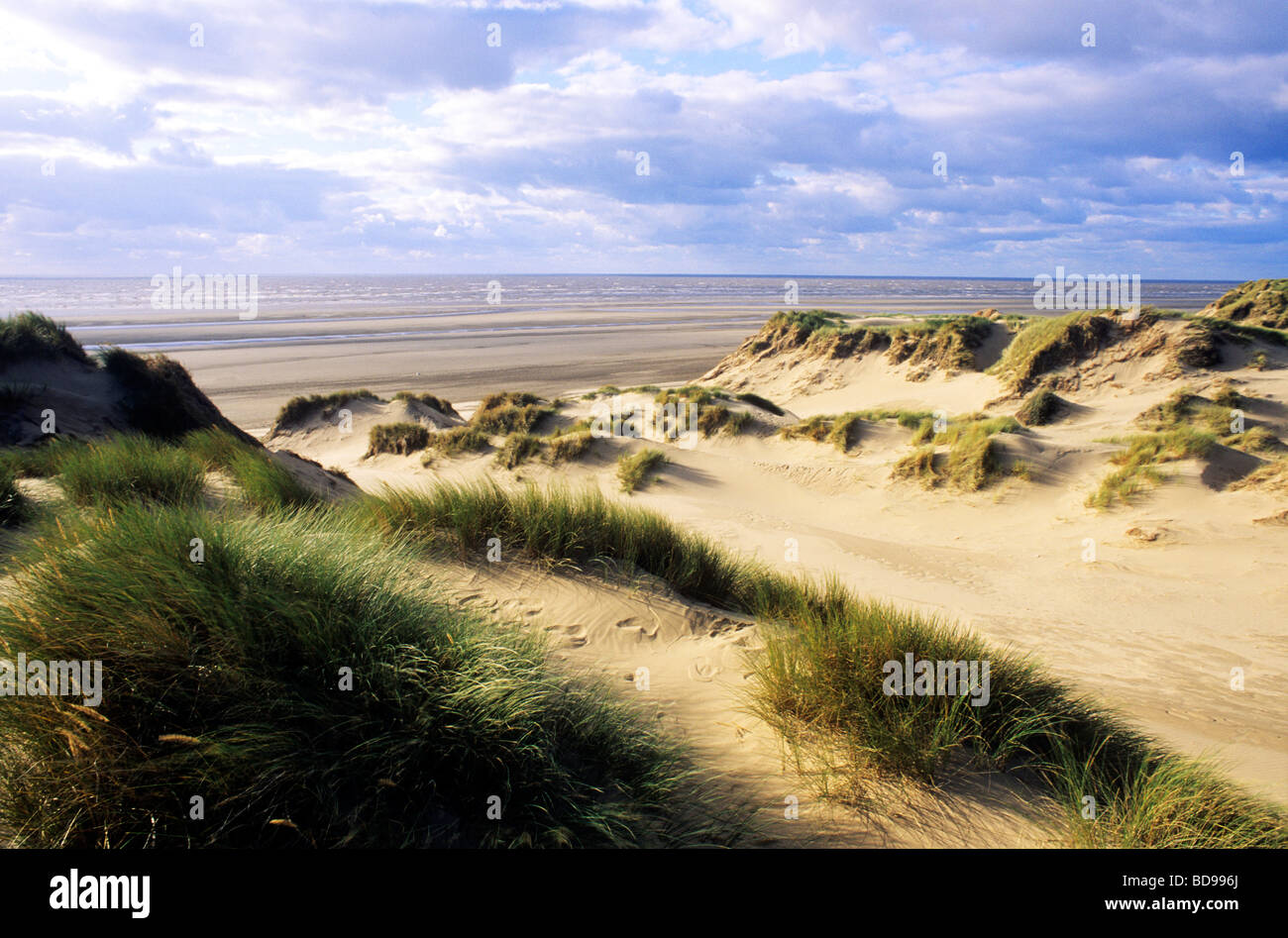 Formby Dunes Lancashire English coast  sand sandy coastal scenery England UK beach marram grass sea seaside Stock Photo