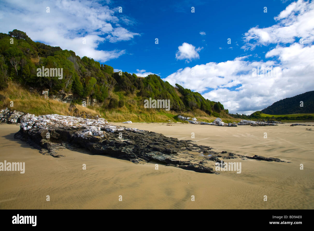 New Zealand Otago The Catlins Sandy beach and wind sculptured native bush of Purakaunui Bay Stock Photo
