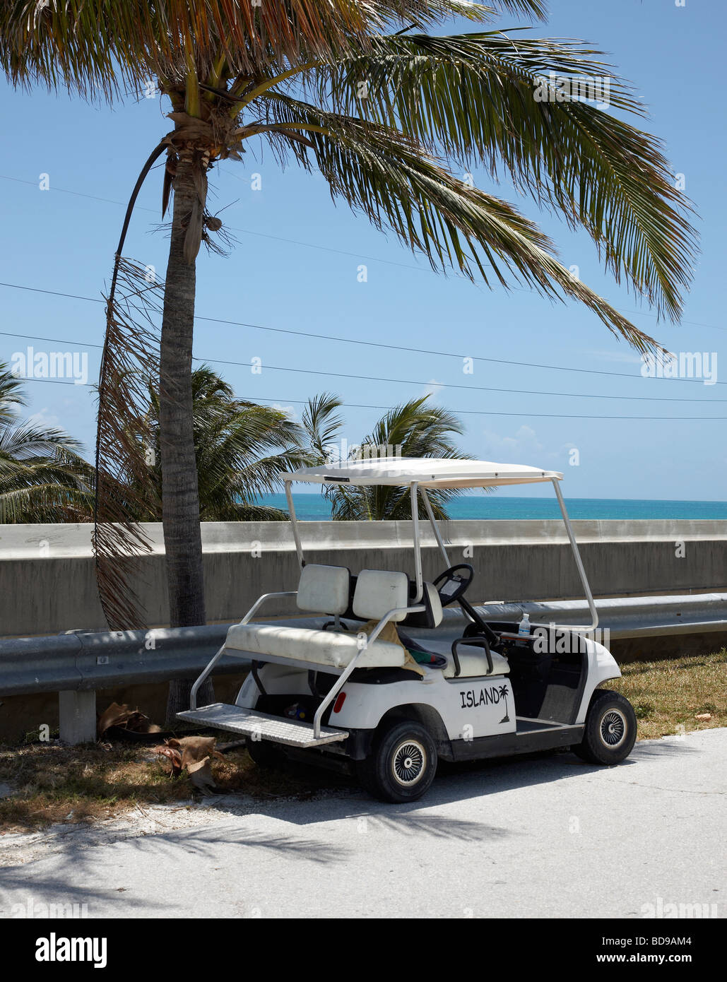 golf buggy parked under palm tree Stock Photo