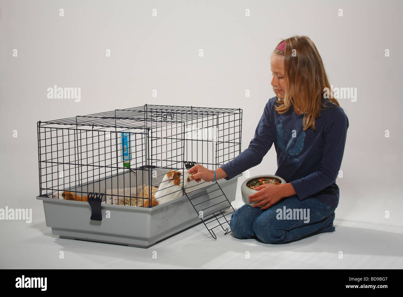 Guinea pigs pet food hires stock photography and images Alamy