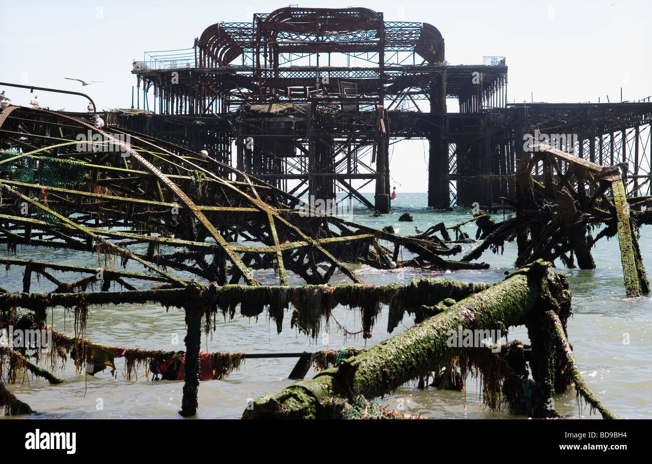 Brighton Sussex Britain The West Pier now destroyed by fire  2009 Stock Photo
