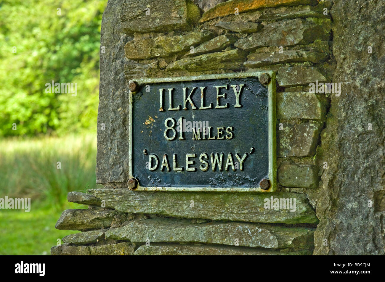 Dalesway footpath sign close up indicating Ilkley 81 miles Cumbria England UK United Kingdom GB Great Britain Stock Photo
