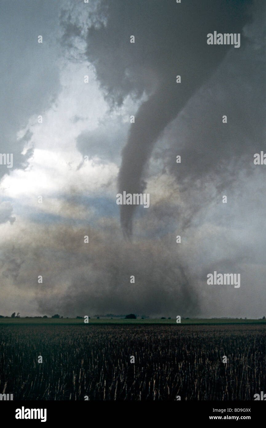 A portrait of a dusty tornado touching down over farm fields in Nebraska, USA Stock Photo
