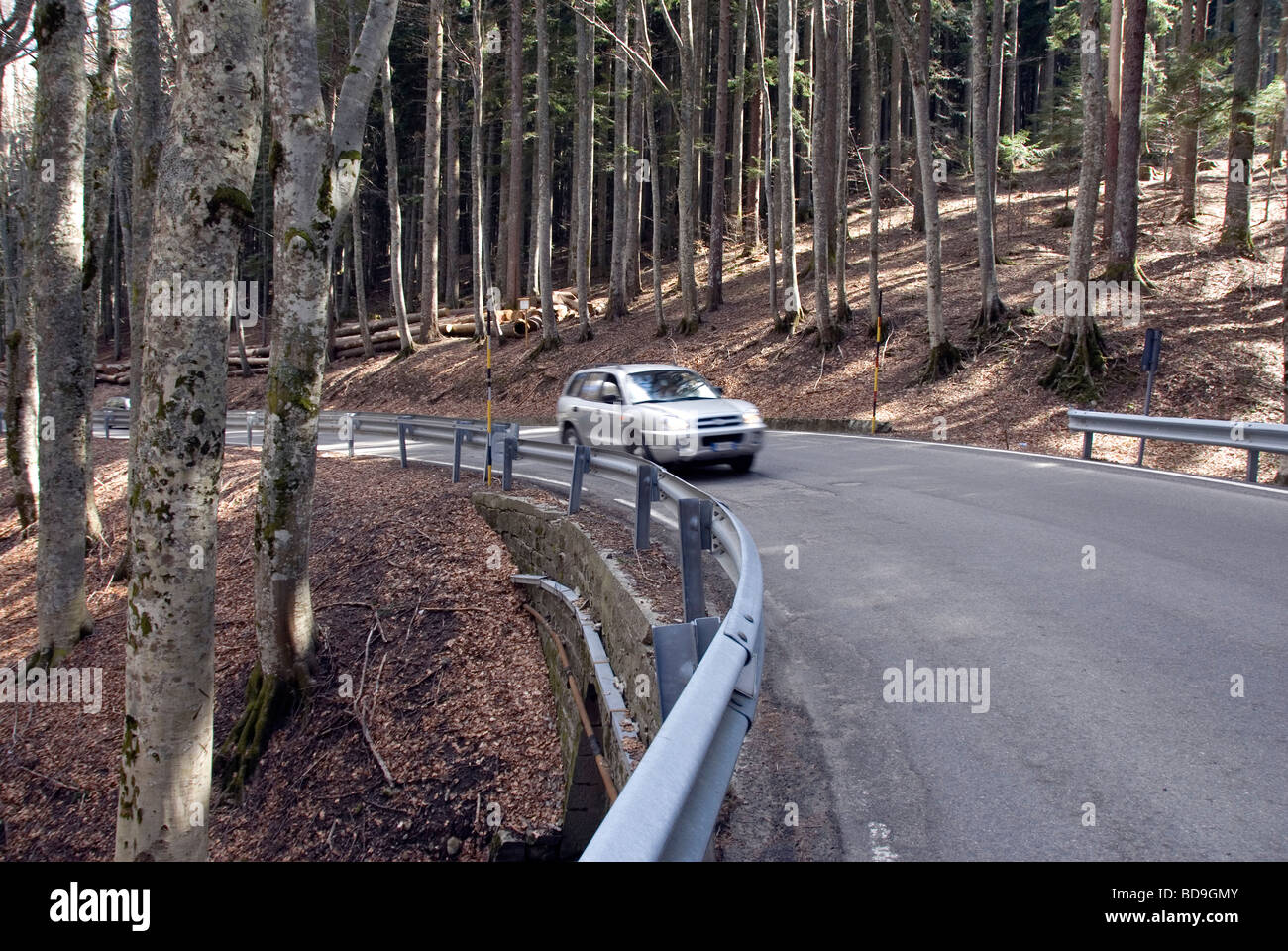 Car driving through the Abetone national park in spring Stock Photo