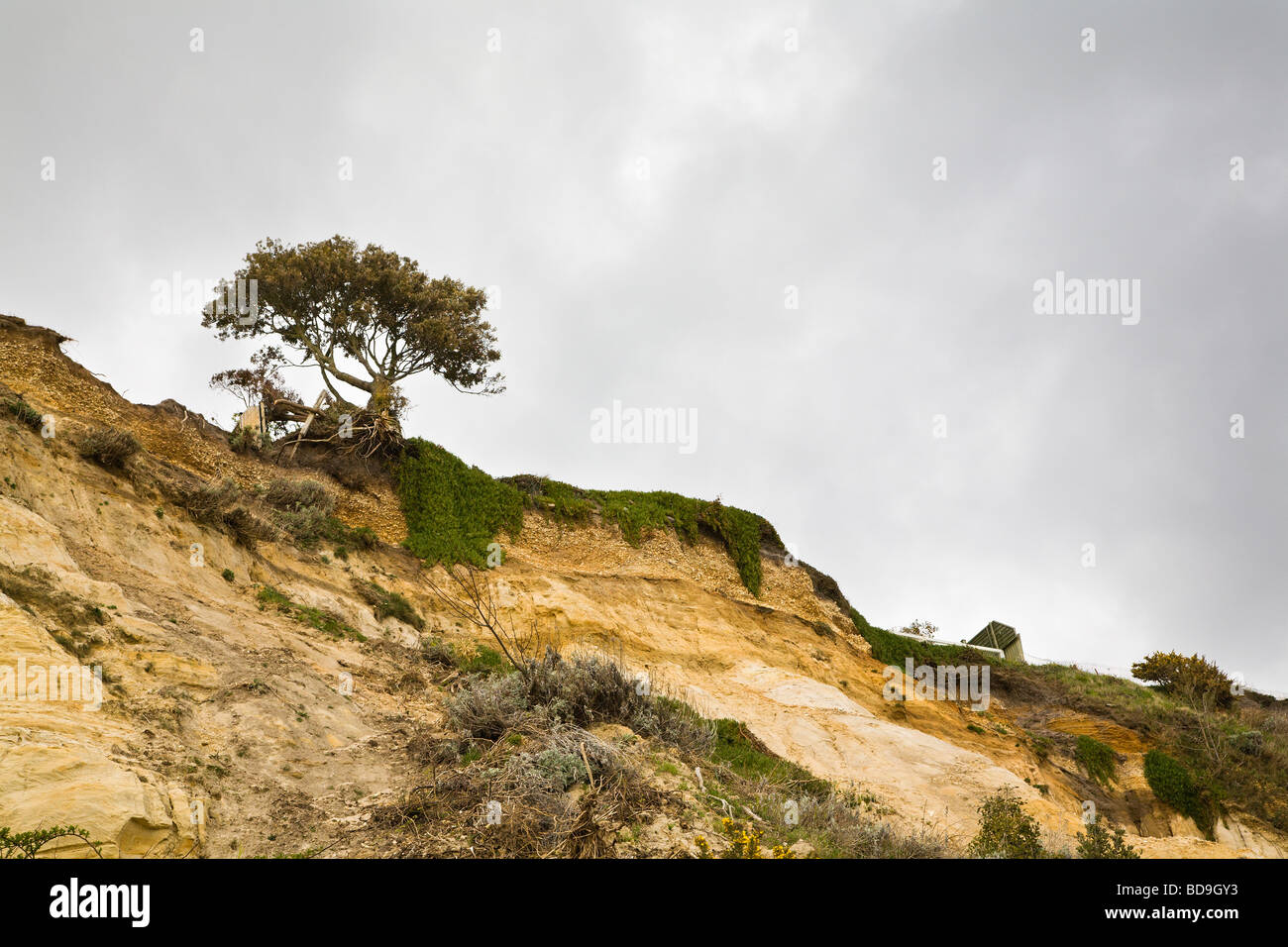 A landslip and erosion of sandstone cliffs at Alum Chine beach, Bournemouth, Dorset. UK. Stock Photo