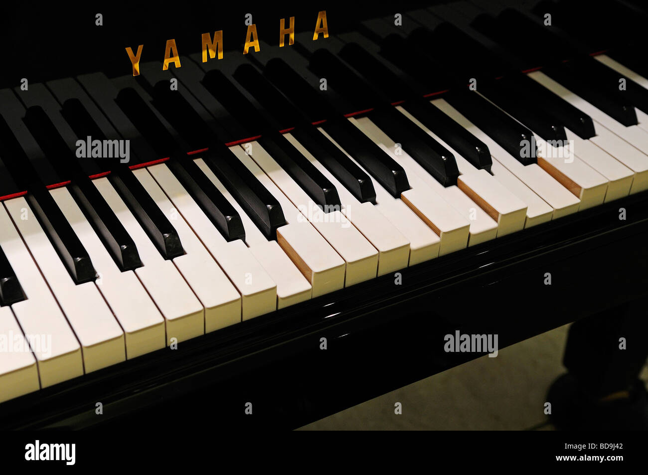 Best Casio keyboards 2024: Our picks from the Japanese giant