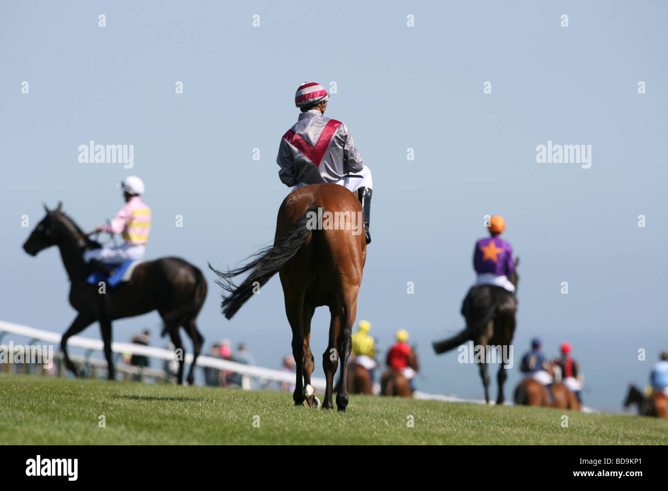 Jockey s and Horses make their way to the start before a Horse Race. Stock Photo