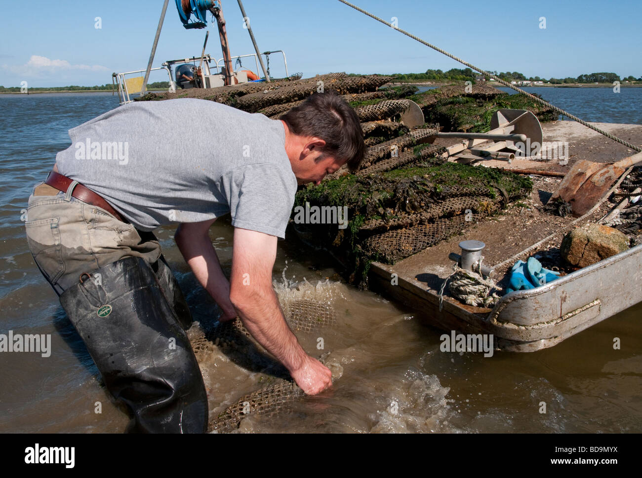 France Bretagne Morbihan Etel river Oyster Farm at Le Gohen Sainte Helene  Alexis le Cren Stock Photo - Alamy