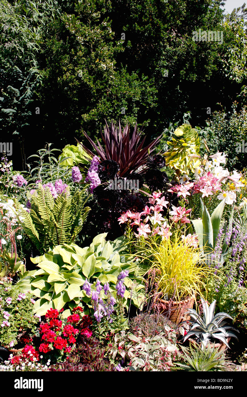 A COLOURFUL SUMMER BORDER IN AN ENGLISH COUNTRY GARDEN Stock Photo - Alamy