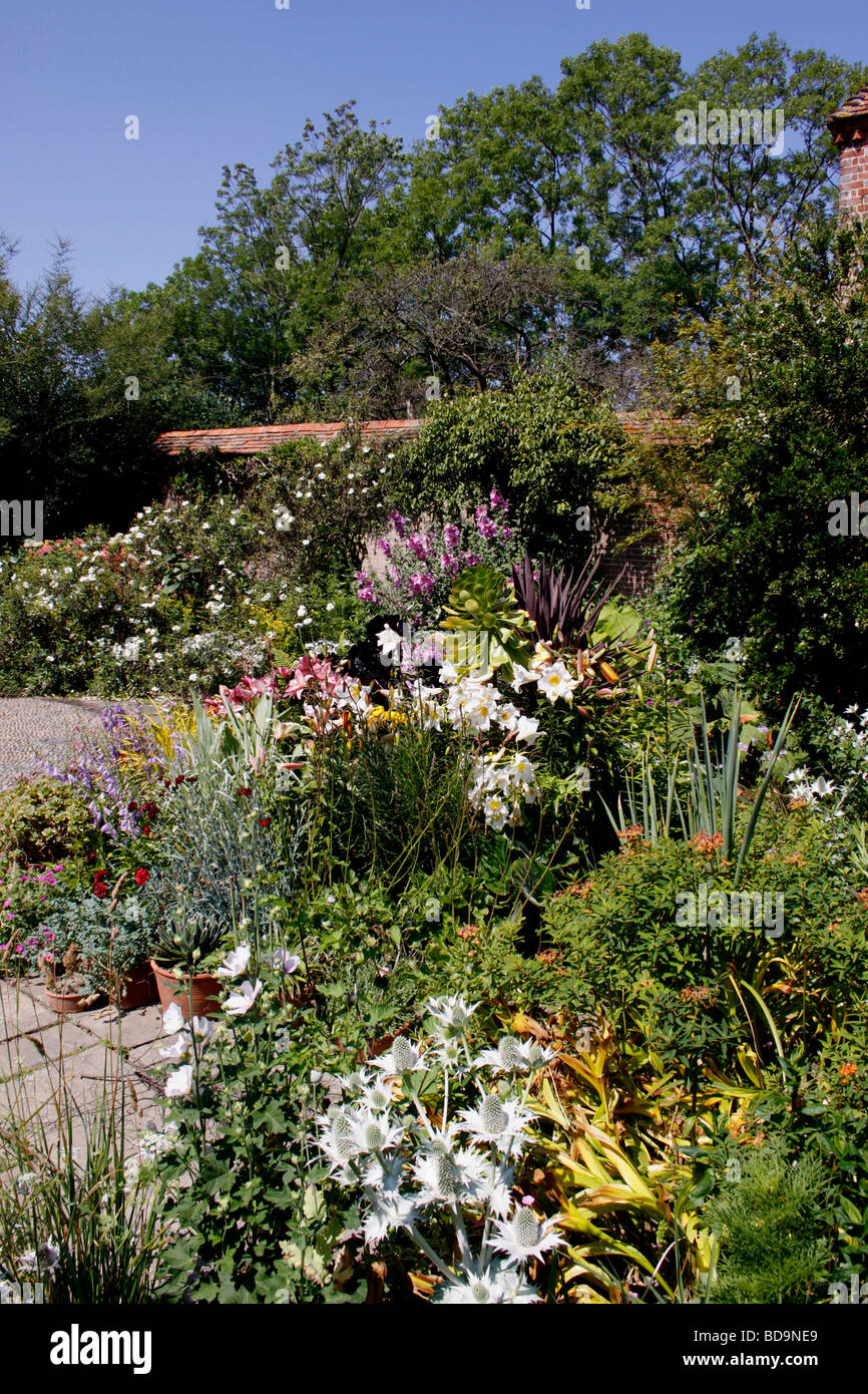 A COLOURFUL SUMMER BORDER IN AN ENGLISH COUNTRY GARDEN Stock Photo - Alamy
