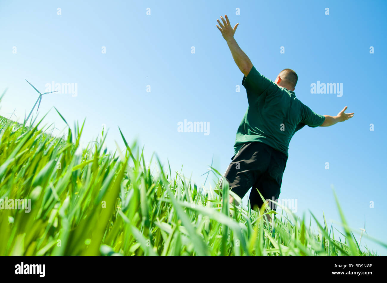 Person in the field hi-res stock photography and images - Alamy