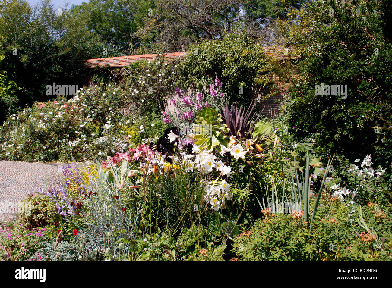 A COLOURFUL SUMMER BORDER IN AN ENGLISH COUNTRY GARDEN Stock Photo - Alamy