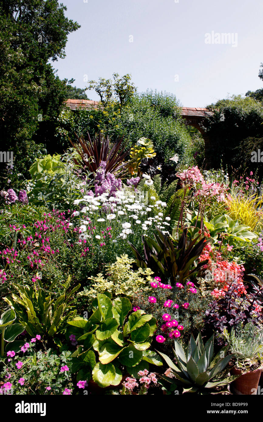 A COLOURFUL SUMMER BORDER IN AN ENGLISH COUNTRY GARDEN Stock Photo - Alamy