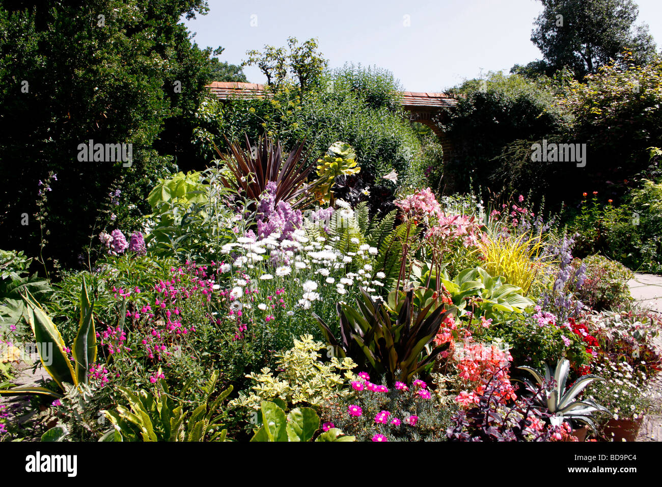 A COLOURFUL SUMMER BORDER IN AN ENGLISH COUNTRY GARDEN Stock Photo - Alamy