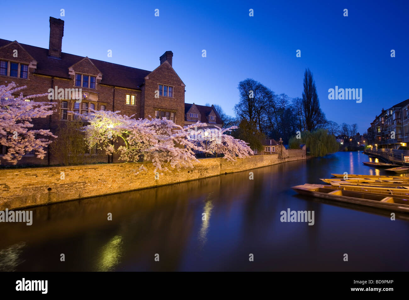 Magdelene College, Cambridge, at night with cherry blossom Stock Photo