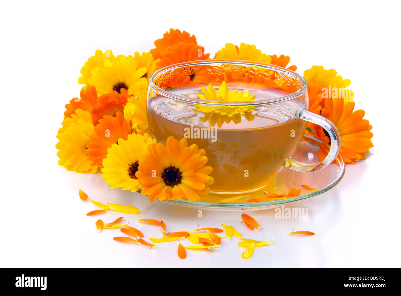 Marigold Tea High Resolution Stock Photography And Images Alamy