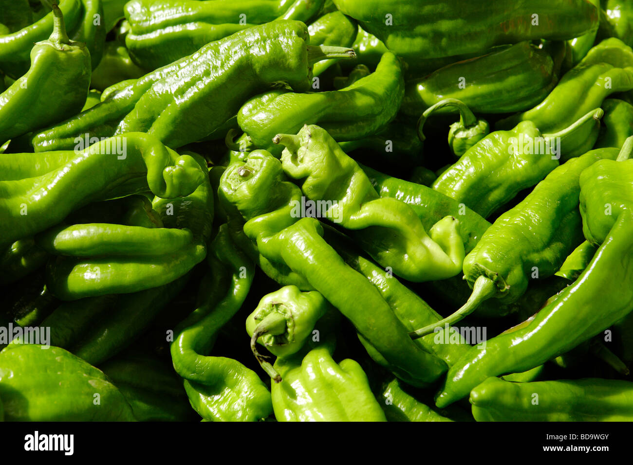green peppers for sale on a market stall Stock Photo Alamy