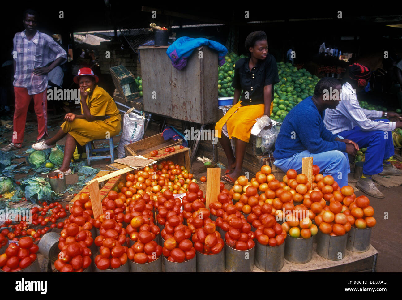 vendor, vendors, seller, selling, fresh tomatoes, tomatoes, fruit and vegetable market, open-air market, city of Harare, Harare Province, Zimbabwe Stock Photo