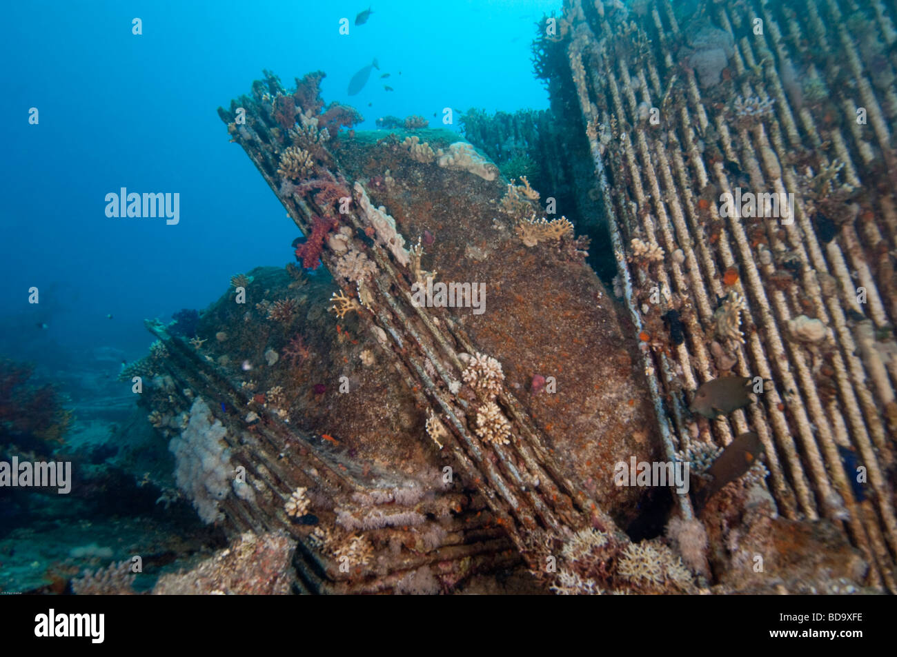 A cargo of bathroom fixtures lying on the bottom of the Red SEa is all that is left of the Yolanda shipwreck. Stock Photo