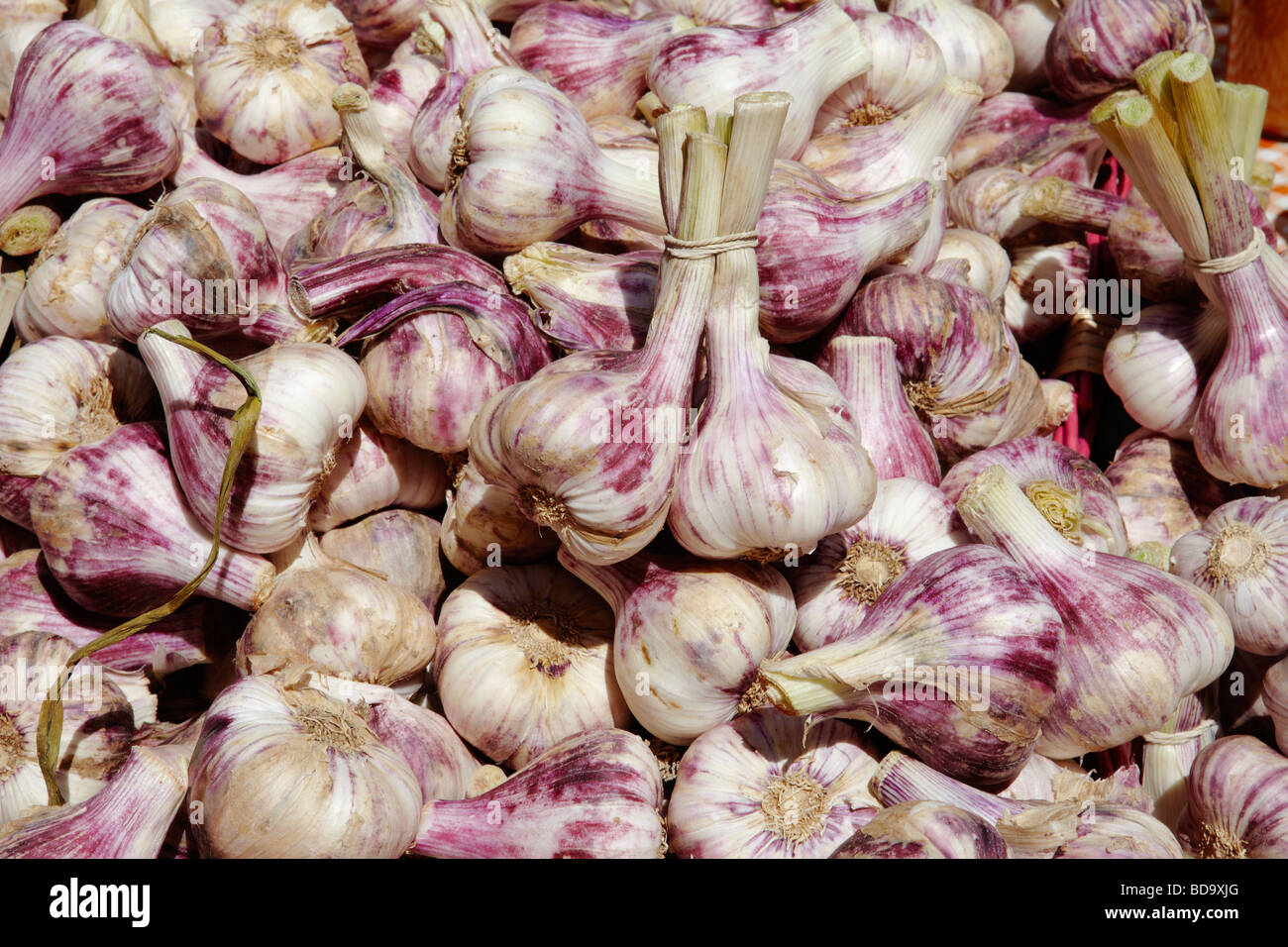 tight shot of garlic for sale on a market stall Stock Photo