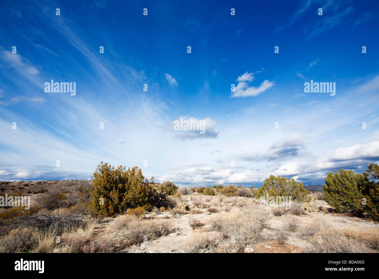 Arizona high desert Stock Photo Alamy