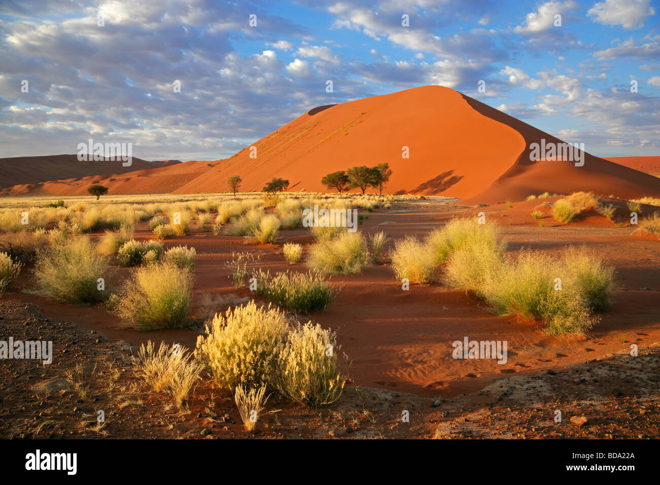 Landscape with desert grasses, large sand dune and sky with clouds, Sossusvlei, Namibia, southern Africa Stock Photo