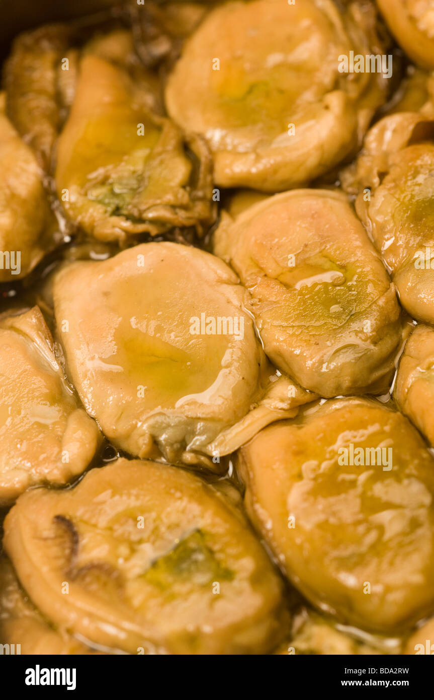 smoked oysters appetizers in cottonseed oil in tin can Stock Photo Alamy